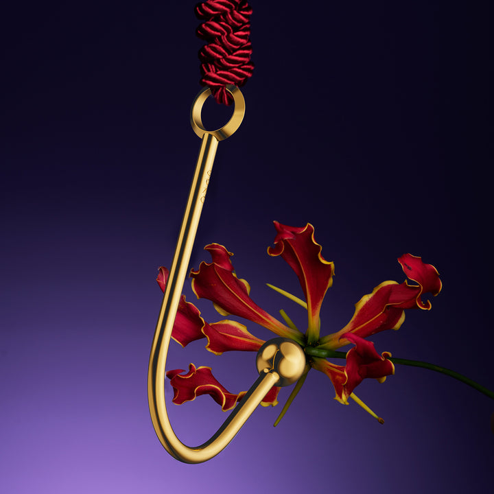 Vaginal/Anal Hook-3