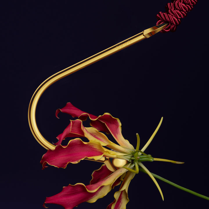 Vaginal/Anal Hook-4