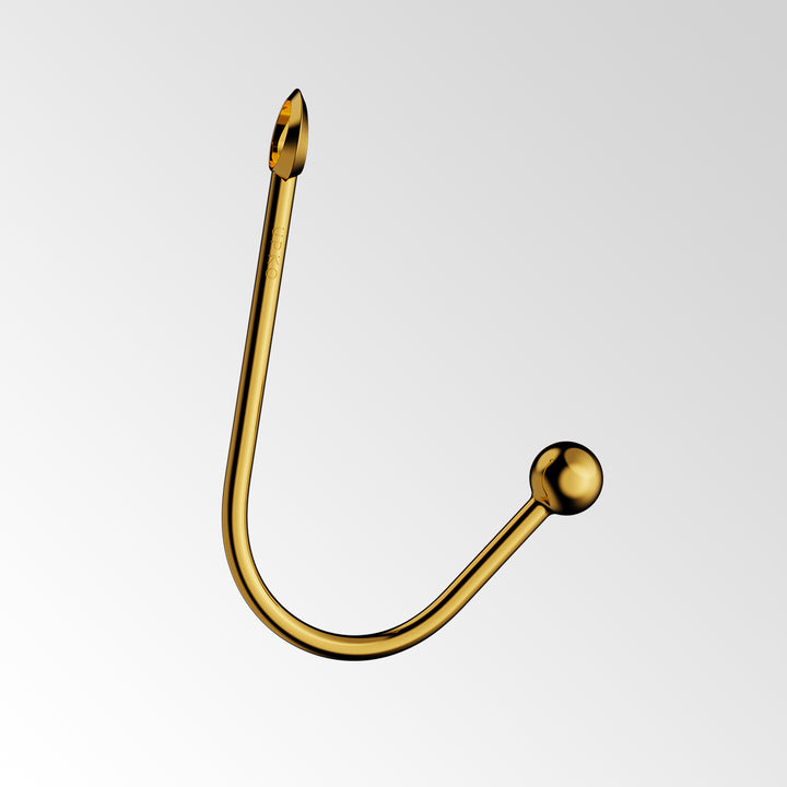 Vaginal/Anal Hook-5